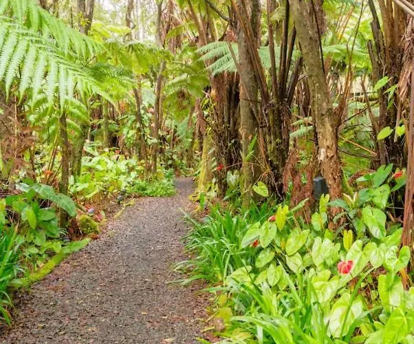 Kilauea Iki- Hale Kumu La'Au