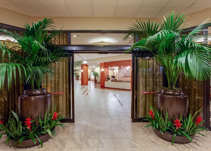 Hotel central: Sonesta Miami Airport