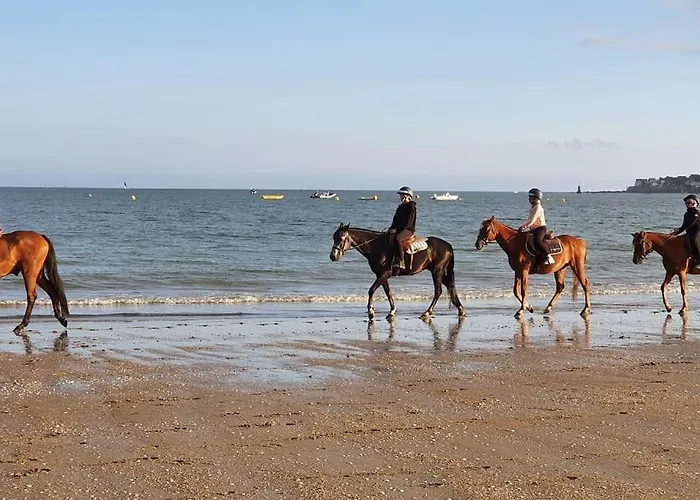 Ocean Bleu - Studio Bord De Plage