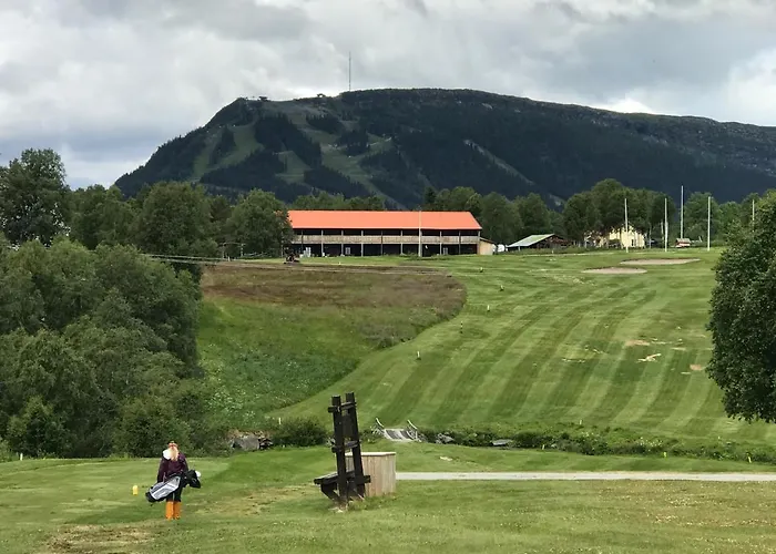 Ljusnedal Laegenhet Med Golf, Paddel, Fiske Och Skidakning