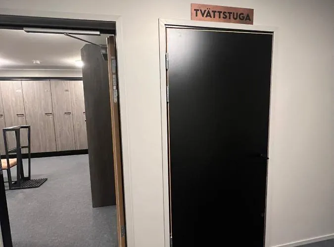 Fjaellglim36