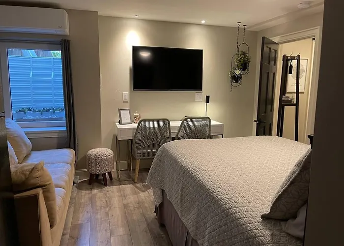 Modern Studio Basement With Private Entrance