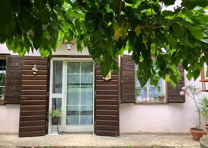 Hotel: La casa nel bosco