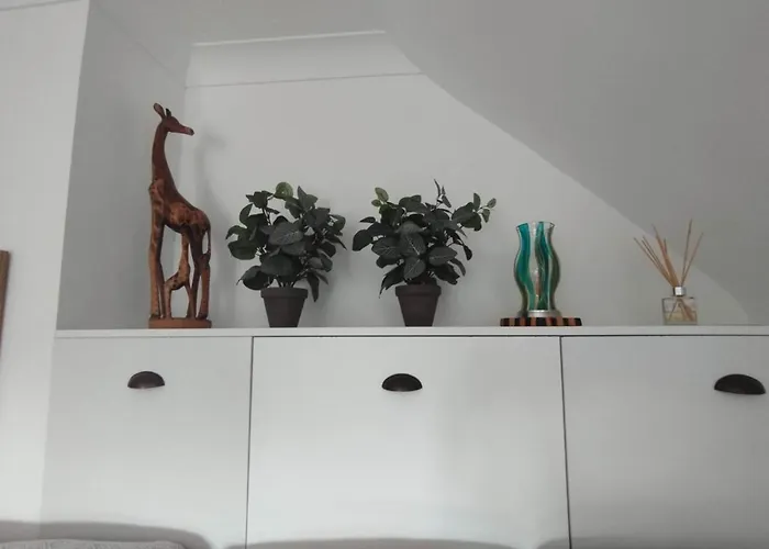 Top Of The House