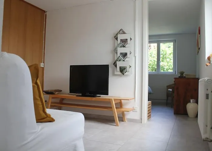 Lake Thun Apartment For Max 3 Guests Ideal For Water Sports & Swiss Alps