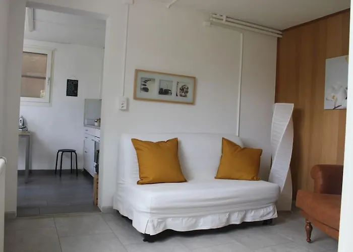Lake Thun Apartment For Max 3 Guests Ideal For Water Sports & Swiss Alps