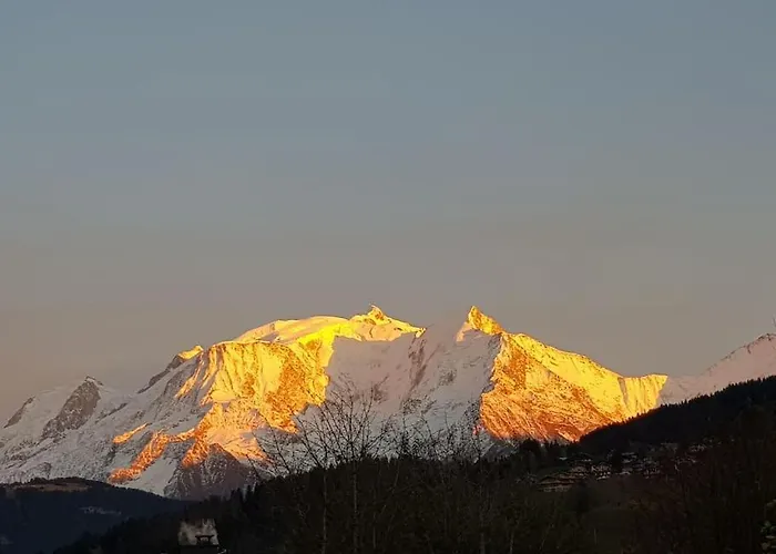 Appartement Belle Vue