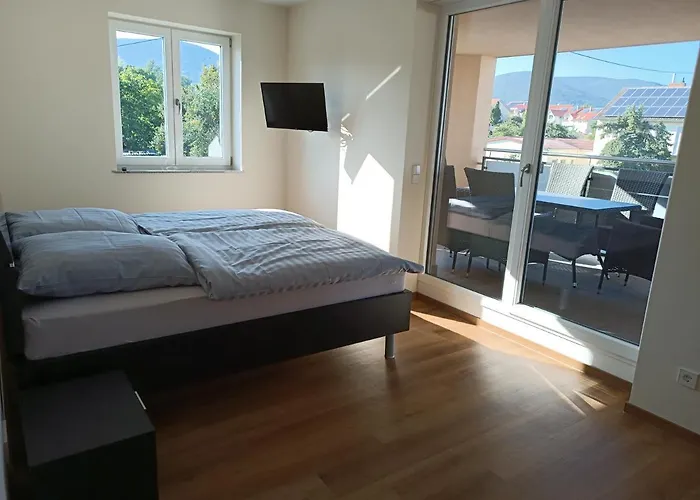 Weinrebenblick
