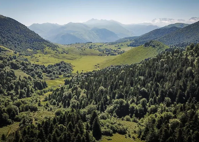 Hotel que admite mascotas: Tierra Boutique, Tierra Suites y Tierra Valles Apartamentos