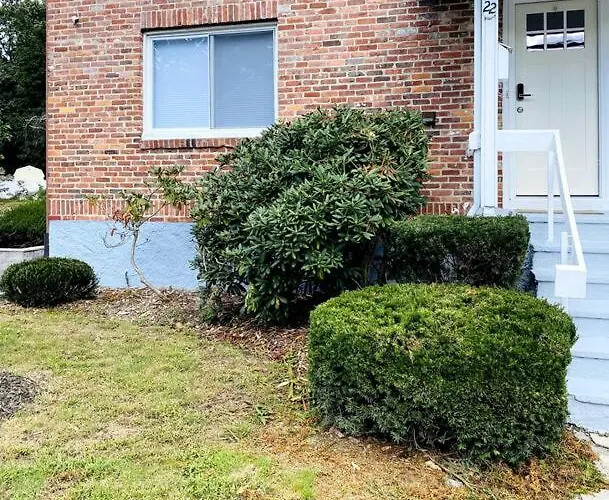 Cozy Boston Getaway Apartment Perfect For 2026 World Cup Visit, Free Parking