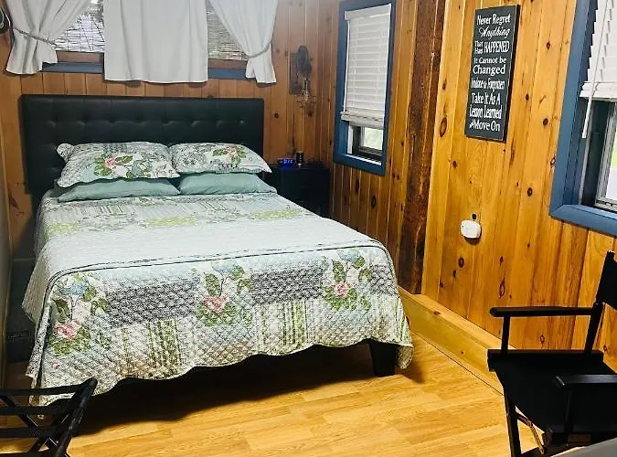 Homesteading At 55 Main