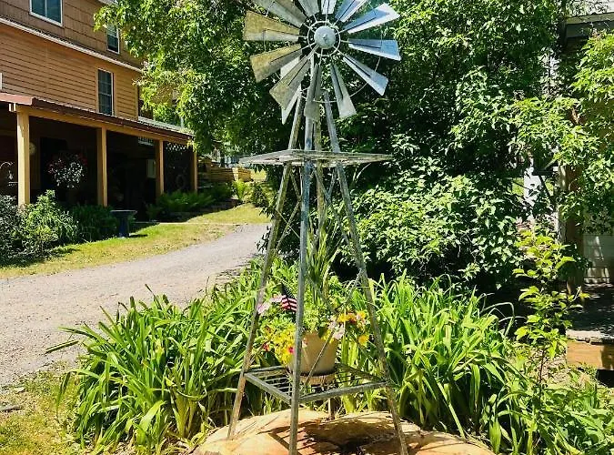 Homesteading At 55 Main