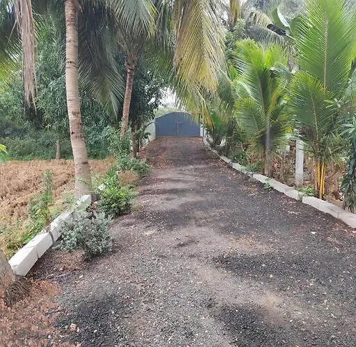 Gangi Kota North Flat
