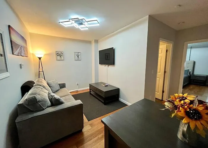 Downtown Albany 1 Bed With Workstation On Maiden Lane