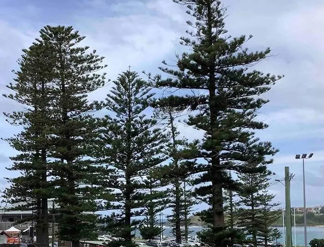 Seabreeze Luxury Apartment Kiama
