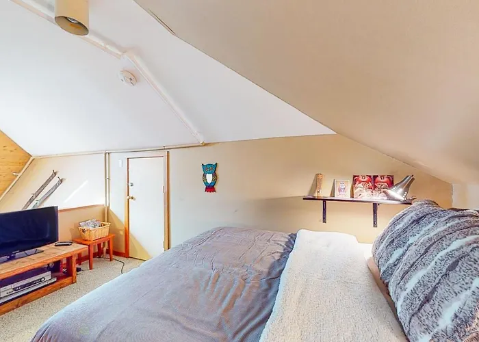 Cozy Modern Comfort