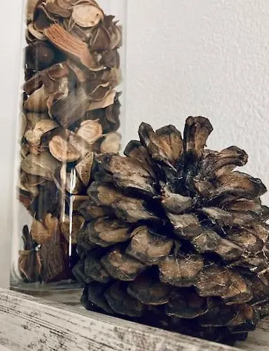 Cozy'Wood