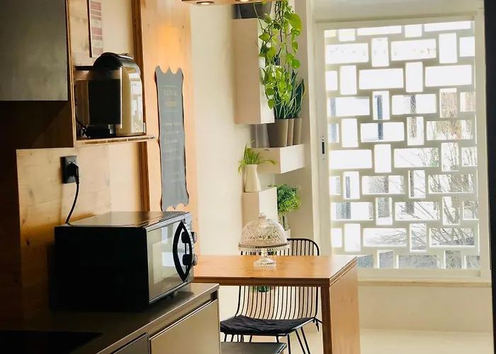 Apartamento T1 no centro TÊ-U