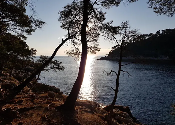 Studio Neuf Climatise Petite Vue Mer Plage A Pieds - Ted Home