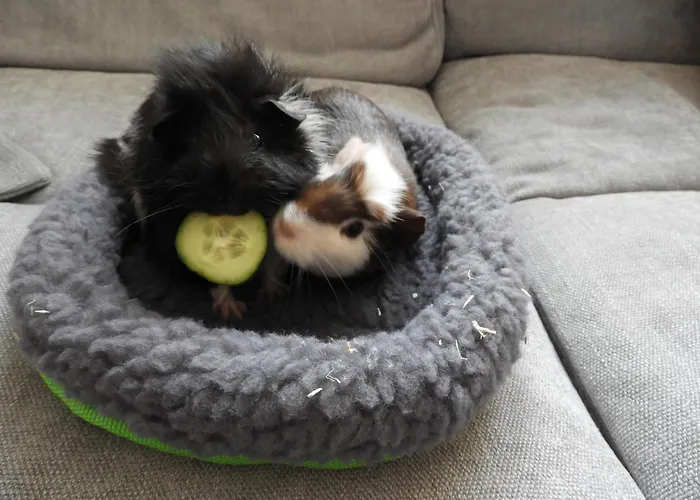Ferienwohnung Ingrid
