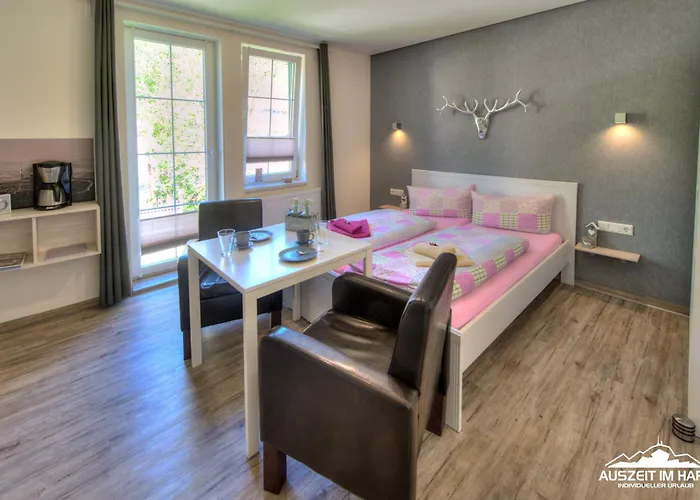 Auszeit-Im-Harz Haus 2 Wohnung 4