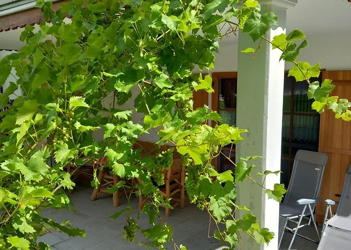 Moarhof Feilnbach