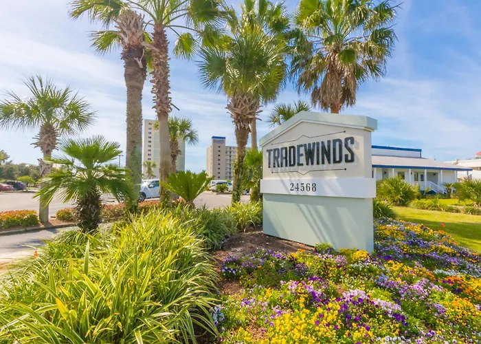 Tradewinds 205
