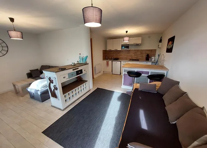 Confortable Studio 37M2 Netflix Canal+...