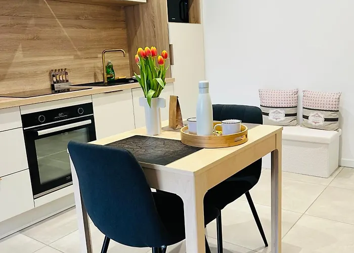 Appartement Centre De Roanne 38M2