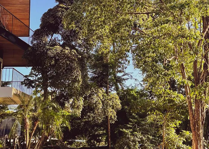 Purapura Santa Teresa