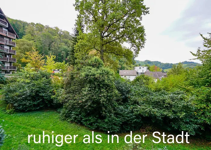 Gaishoell-Wasserfaelle Apartment Schwarzwald