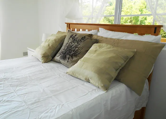 Vj'S Guesthouse Mountain View