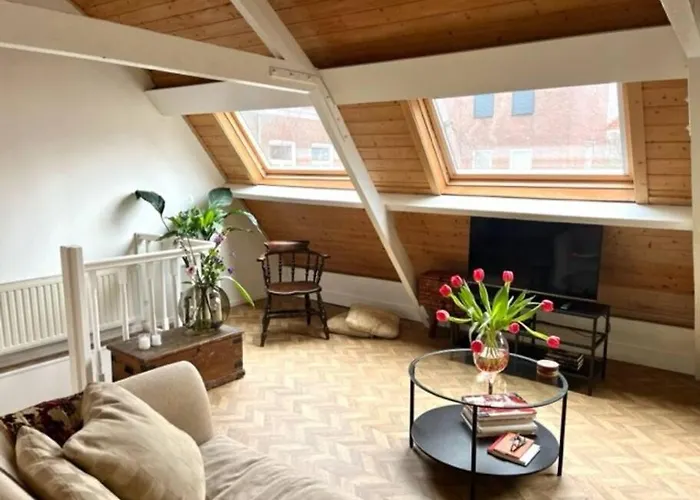 Vijfhoek Haarlem Studio Vlaming