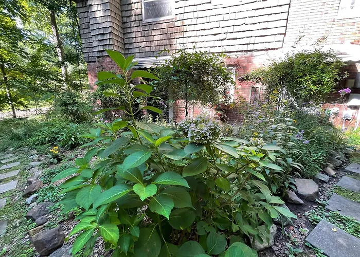 Mary'S Place - Studio Surrounded By Nature But Close To High Point
