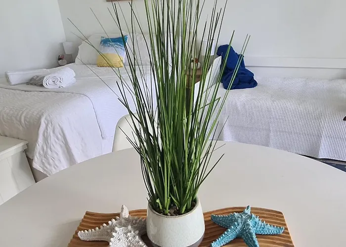 Dolphin Heads - Resort Unit - Absolute Beachfront! - Whitsunday Getaway!