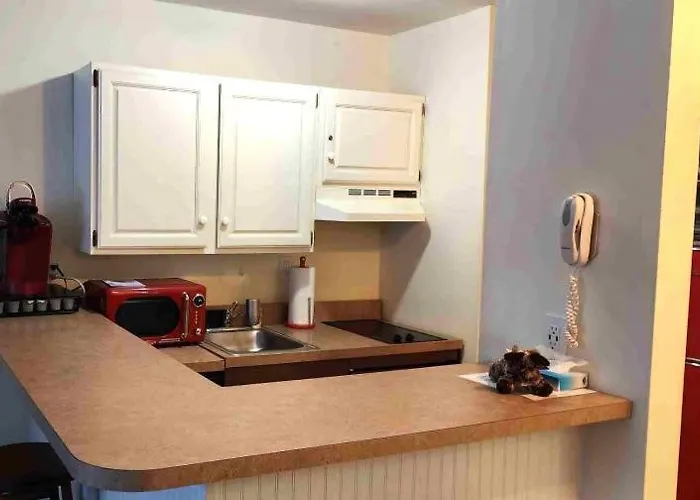Deluxe Mountain Fox Suite Jiminy Peak - Ski On Off - Fully Redone Decor