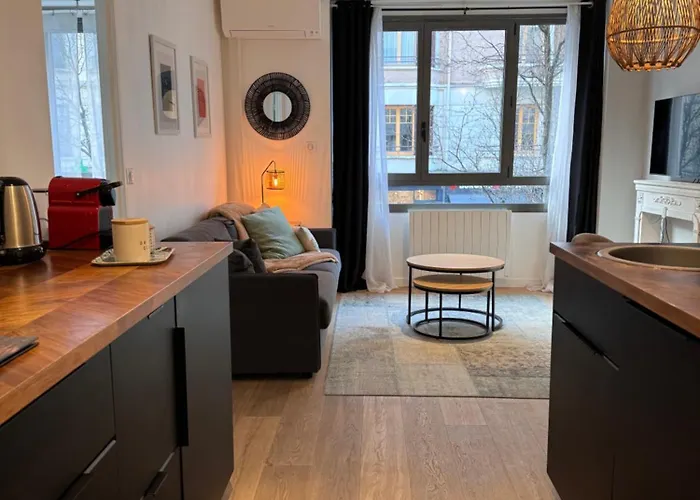 "Le Petit Bonlieu" Au Centre Ville Et A 300 M Du Lac