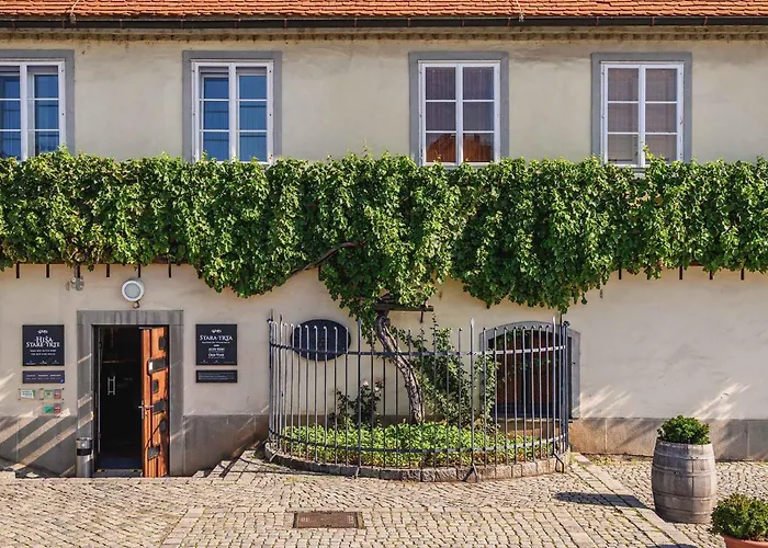 Kavenija Apartmaji - Free Parking
