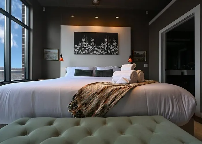 Luxury Condo In Akron Northside District