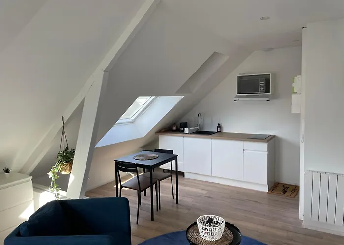 Studio 302 - Hyper Centre - Integralement Renove - Toutes Commodites A Pied