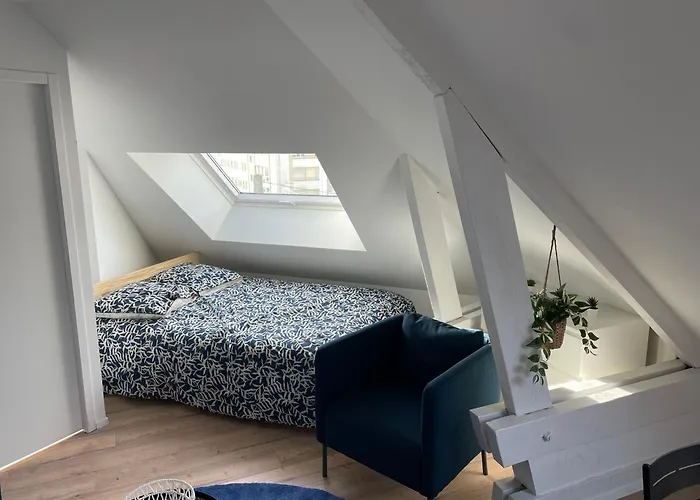 Studio 302 - Hyper Centre - Integralement Renove - Toutes Commodites A Pied