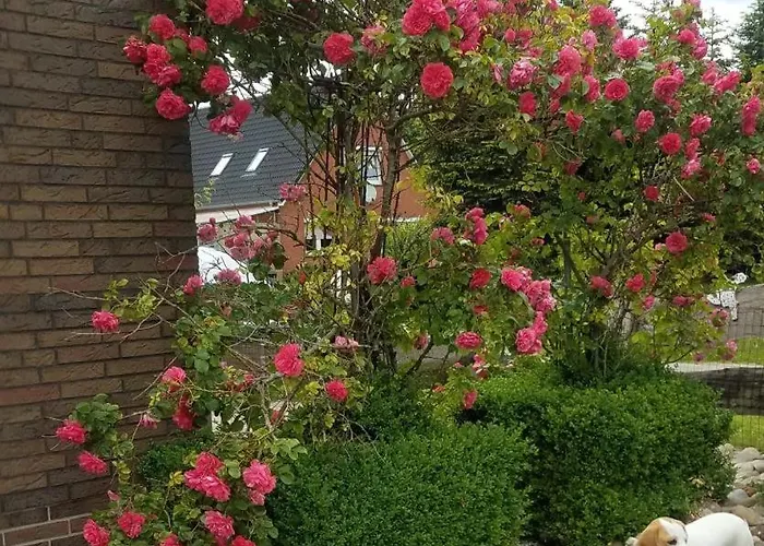 Ferienwohnung Aurich Ostfriesland