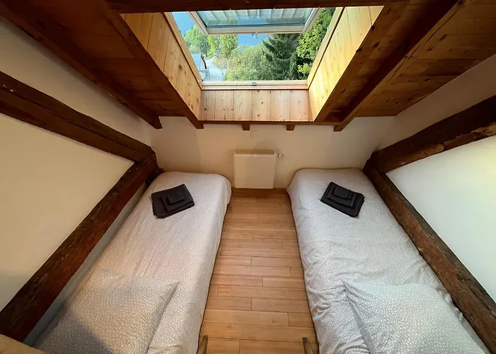 The Loft 3 Minutes From Alpe Dhuez Grand Domaine Via Oz En Oisans