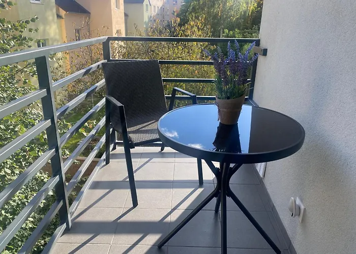 Černá Růže- Apartmán 5