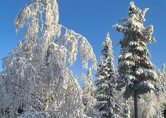 Idre Fjaell, Soederbyn Ski In Ski Out, 30 M Till Pisten