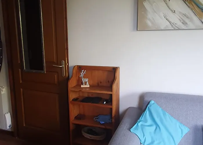 T2 Les Chardons Avec Piscine Sauna Et Hammam