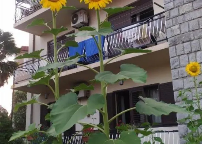 Sea And Sunshine 100M To Beach,Free Parking,Centar,View