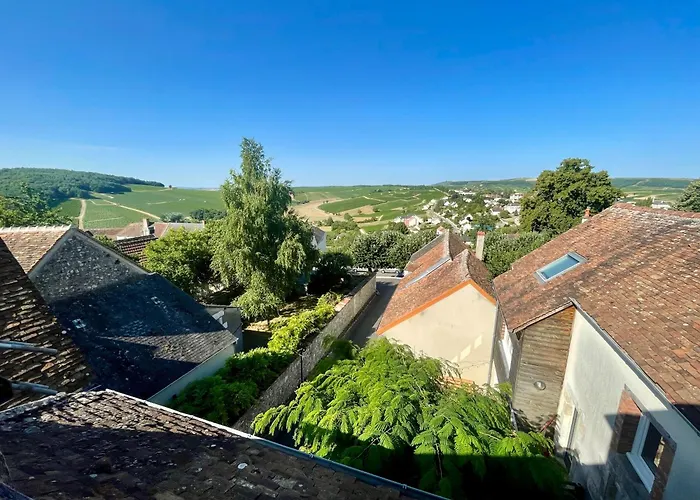 Appartement Cosy Vue Sur Le Vignoble
