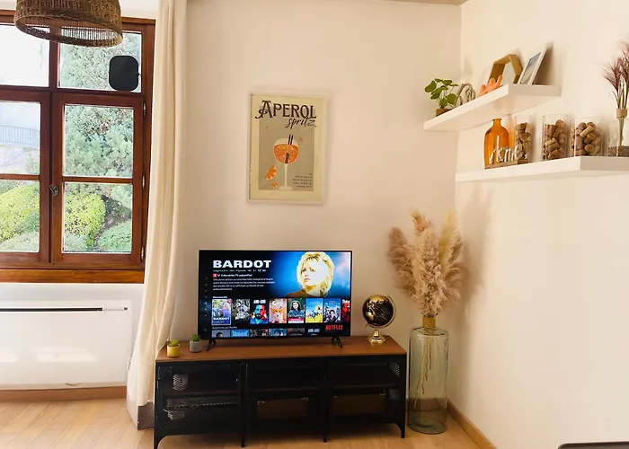 Maison Gabriel - Logement Charmant Au Coeur De La Cite Medievale - T3 75M2
