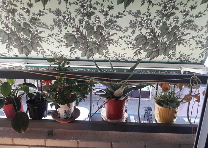 EVE ,Estacion central